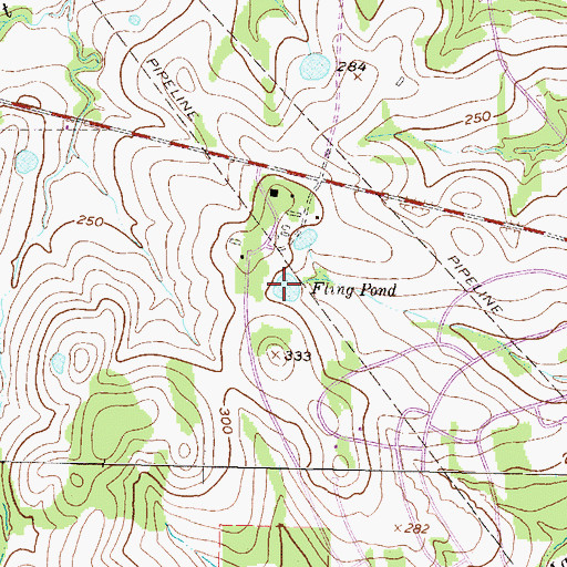 Topographic Map of Fling Pond, TX