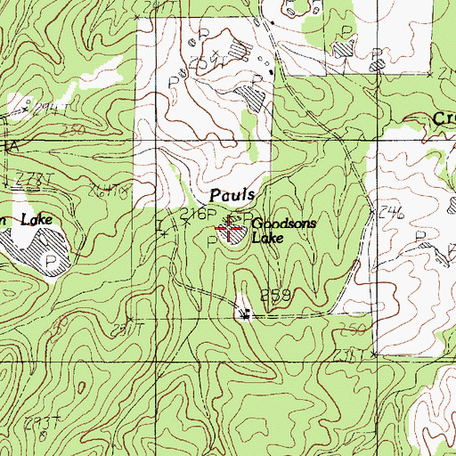 Topographic Map of Goodsons Lake, TX