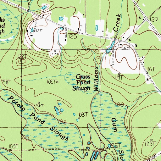 Topographic Map of Grass Pond Slough, TX