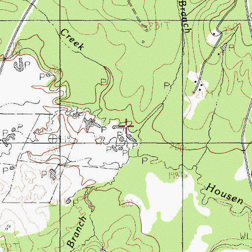 Topographic Map of Hog Branch, TX