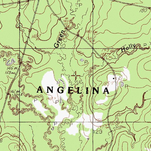 Topographic Map of Holly Branch, TX