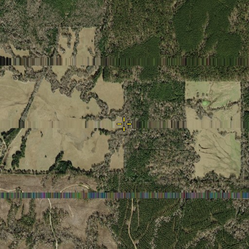 Aerial/Satellite Image of Hornsby Creek, TX