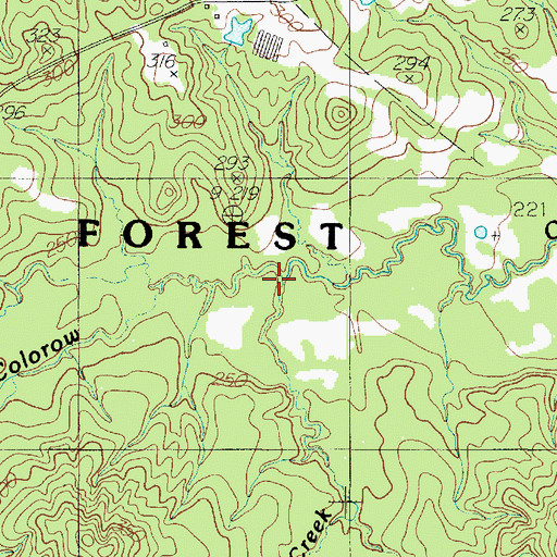 Topographic Map of Horton Creek, TX
