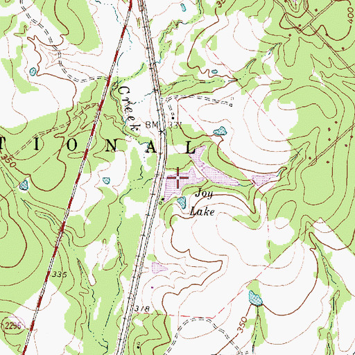 Topographic Map of Joy Lake, TX