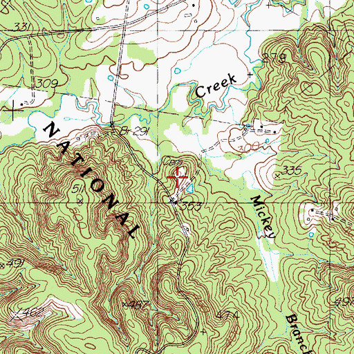 Topographic Map of Lane Cemetery, TX