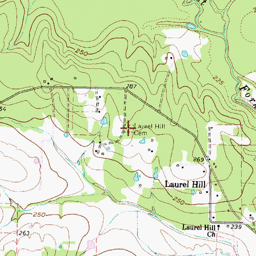 Topographic Map of Laurel Hill Cemetery, TX