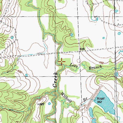 Topographic Map of Lees Branch, TX