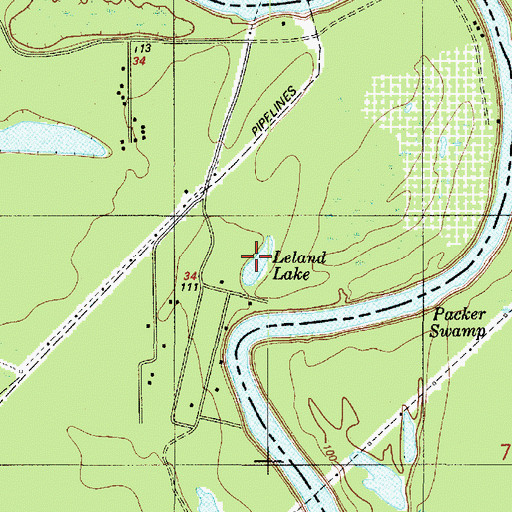 Topographic Map of Leland Lake, TX