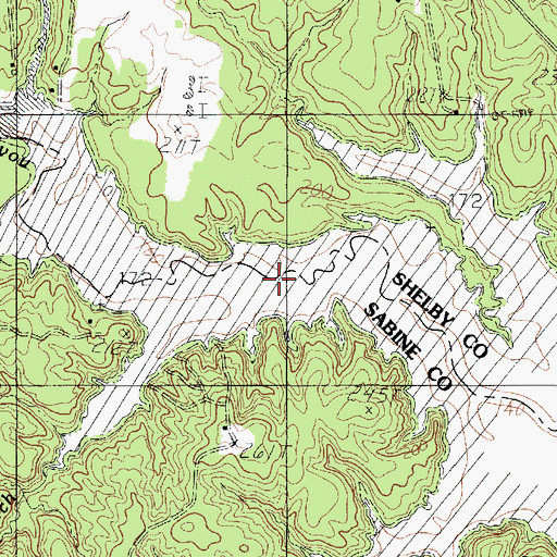 Topographic Map of Lewis Branch, TX