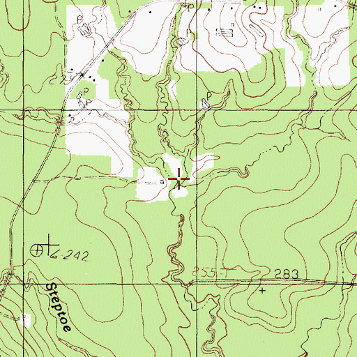 Topographic Map of Lick Branch, TX