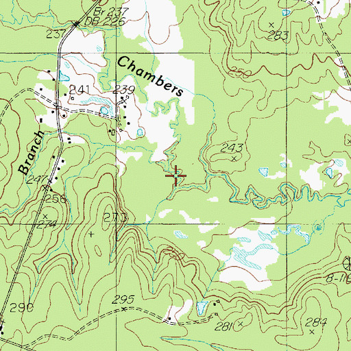Topographic Map of Lick Branch, TX