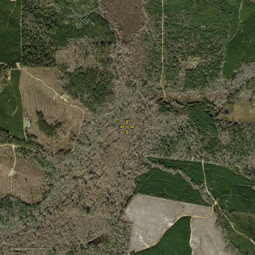Aerial/Satellite Image of Lick Creek, TX