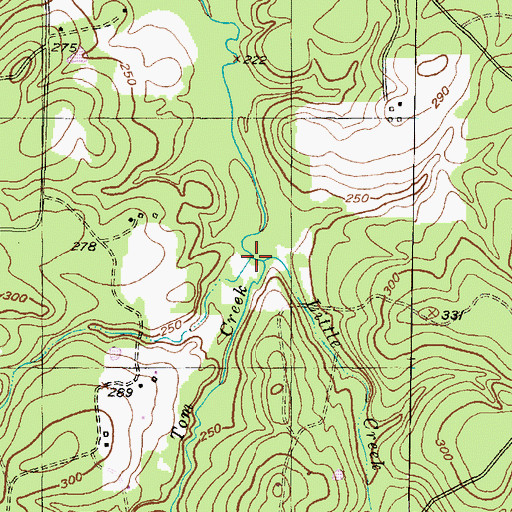 Topographic Map of Little Creek, TX