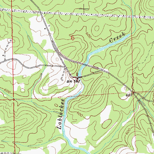 Topographic Map of Macons Mill, AL