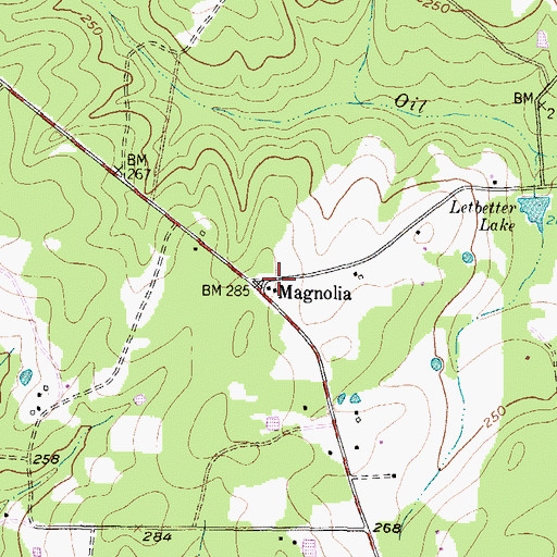 Topographic Map of Magnolia, TX