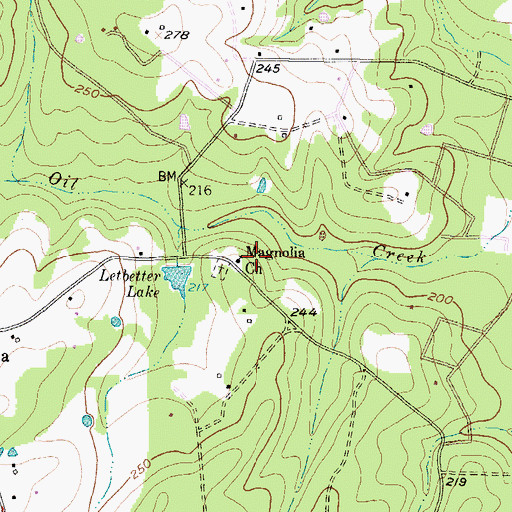 Topographic Map of Magnolia Church, TX