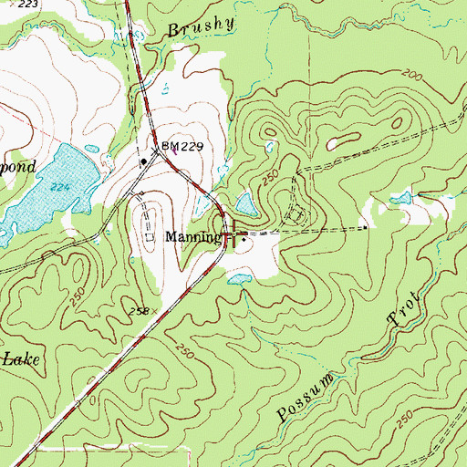 Topographic Map of Manning, TX