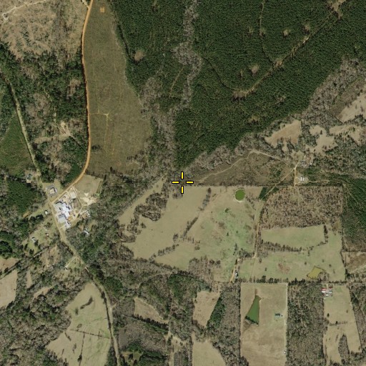 Aerial/Satellite Image of Martin Creek, TX