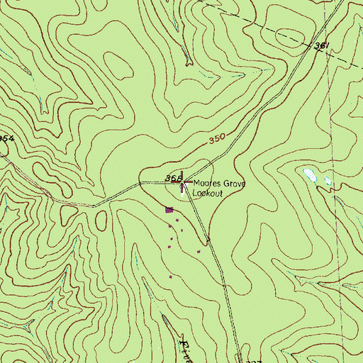 Topographic Map of Moores Grove Lookout, TX