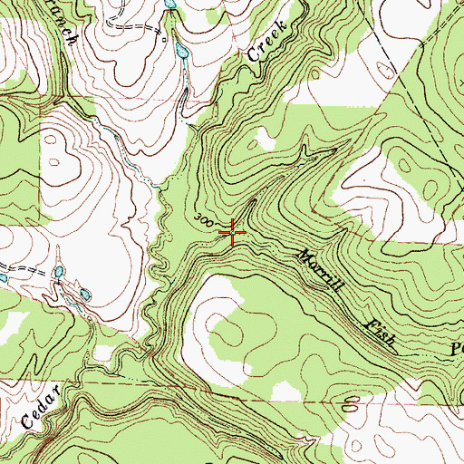 Topographic Map of Morrill Fish Pond Branch, TX