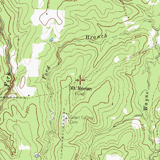 Topographic Map of Mount Morian, TX