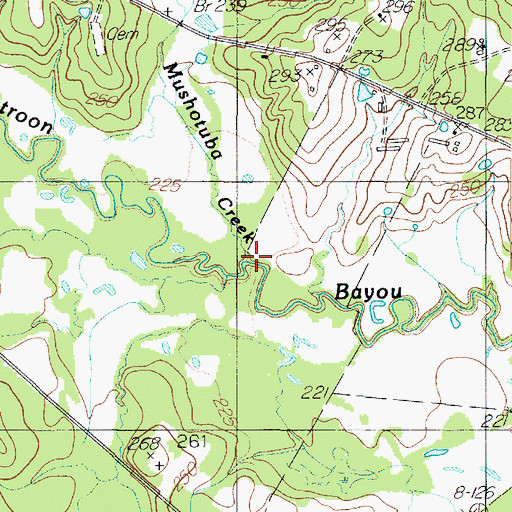 Topographic Map of Mushotuba Creek, TX