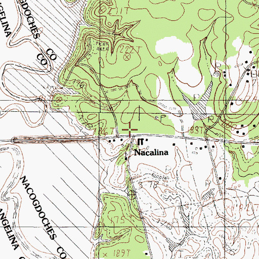Topographic Map of Nacalina, TX