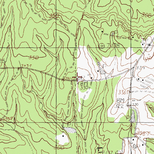 Topographic Map of New Camp, TX