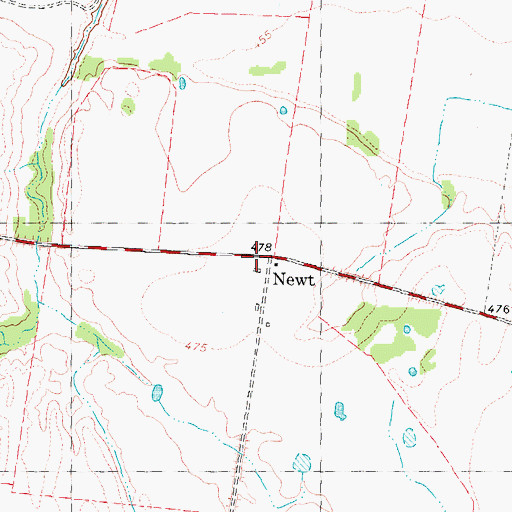 Topographic Map of Newt, TX