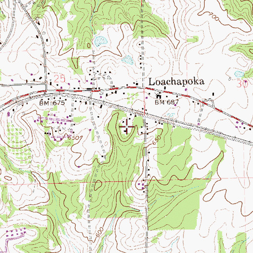 Topographic Map of Mount Zion Church, AL
