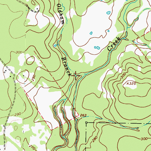 Topographic Map of Oldham Branch, TX