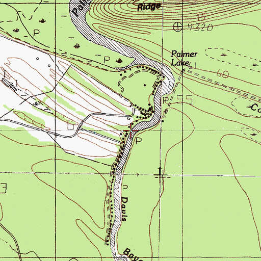 Topographic Map of Palmer Lake, TX