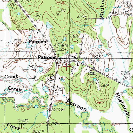 Topographic Map of Patroon, TX