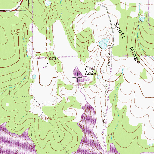 Topographic Map of Peel Lake, TX