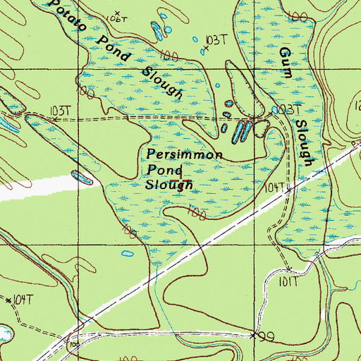 Topographic Map of Persimmon Pond Slough, TX