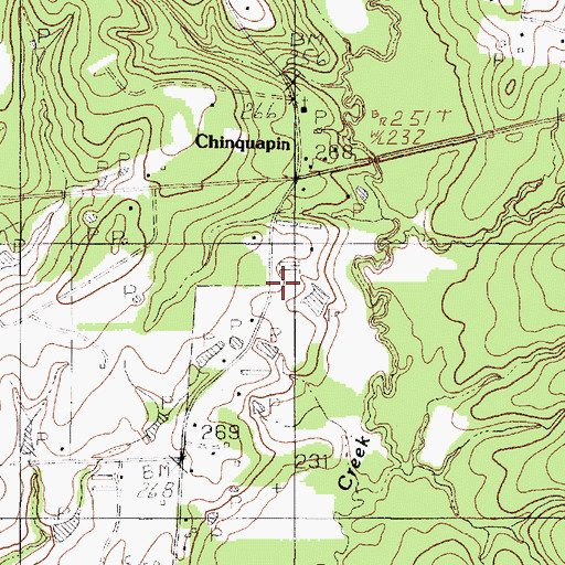 Topographic Map of Pine Grove Church, TX