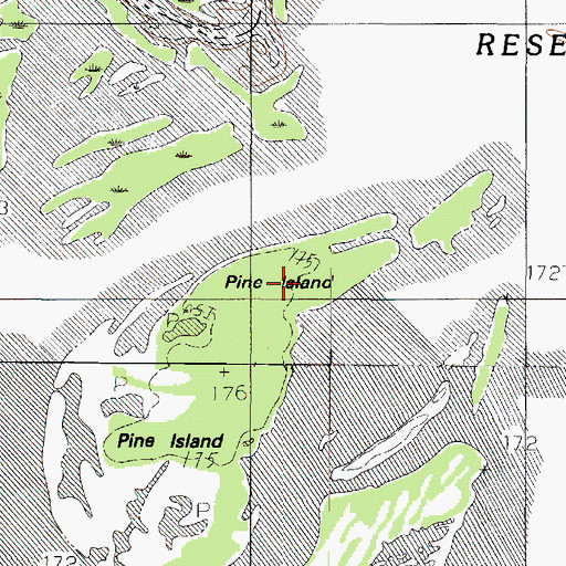 Topographic Map of Pine Island, TX