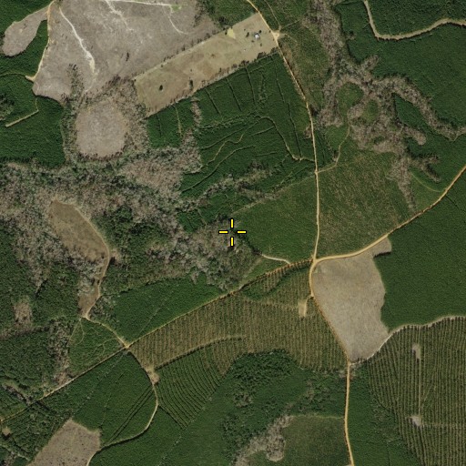 Aerial/Satellite Image of Pine Knot Cemetery, TX