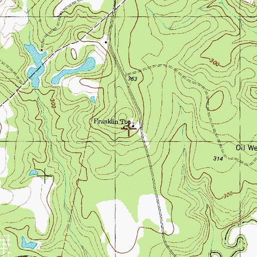 Topographic Map of Pine Top Church, TX