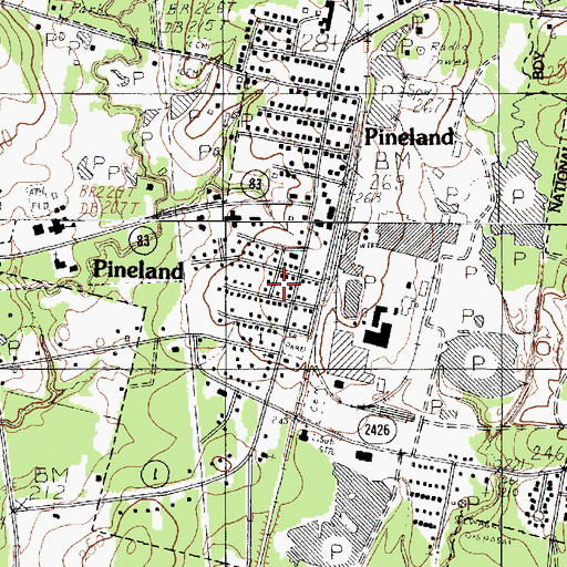 Topographic Map of Pineland, TX