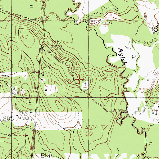 Topographic Map of Pisgah Cemetery, TX