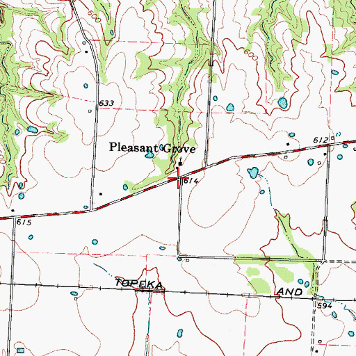Topographic Map of Pleasant Grove, TX