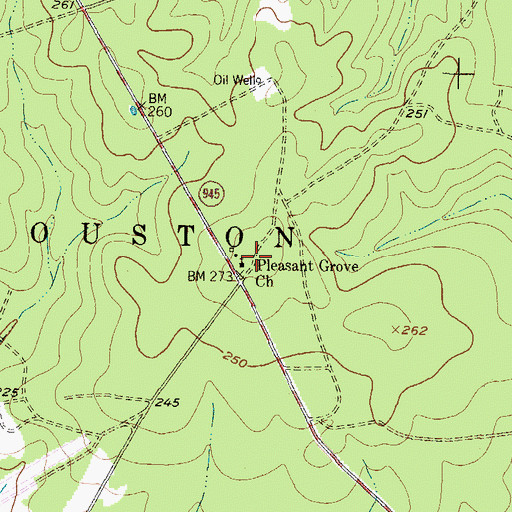 Topographic Map of Pleasant Grove Church, TX