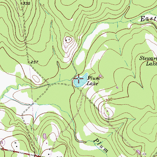 Topographic Map of Plum Lake, TX