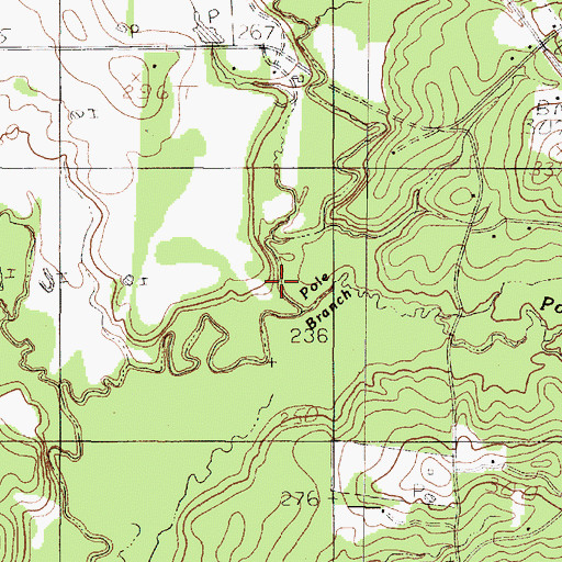 Topographic Map of Pole Branch, TX
