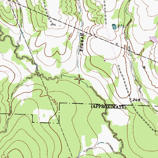 Topographic Map of Pole Cat Branch, TX