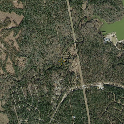 Aerial/Satellite Image of Pools Creek, TX