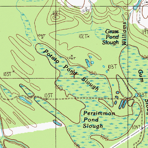 Topographic Map of Potato Pond Slough, TX