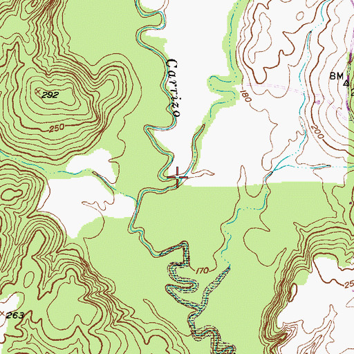 Topographic Map of Puenta Suelas Creek, TX