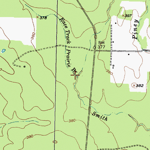 Topographic Map of Race Track Prairie Branch, TX